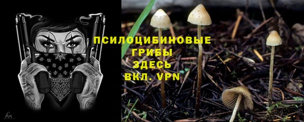 скорость Долгопрудный