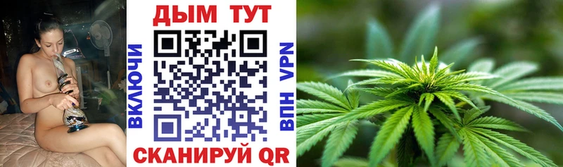 Конопля OG Kush Купить Каргат